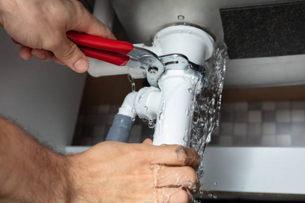 Best Mold removal after water damage  in Springdale, AR