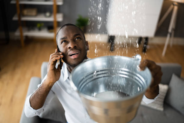 Best Local water damage restoration  in Springdale, AR