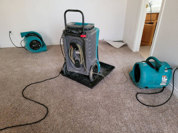 Best Basement water damage restoration  in Springdale, AR