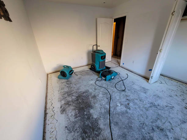 Best Residential water damage restoration  in Springdale, AR