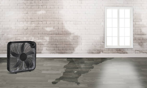Fire Damage Restoration in AR