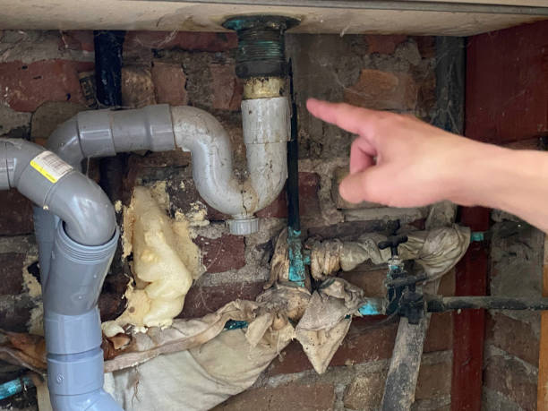 Best Residential water damage restoration  in Springdale, AR