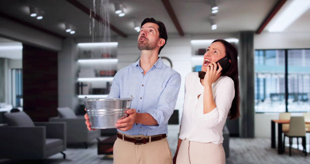 Best Professional water damage repair  in Springdale, AR