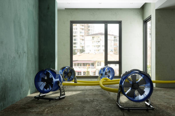 Best Sewage cleanup and water damage restoration  in Springdale, AR
