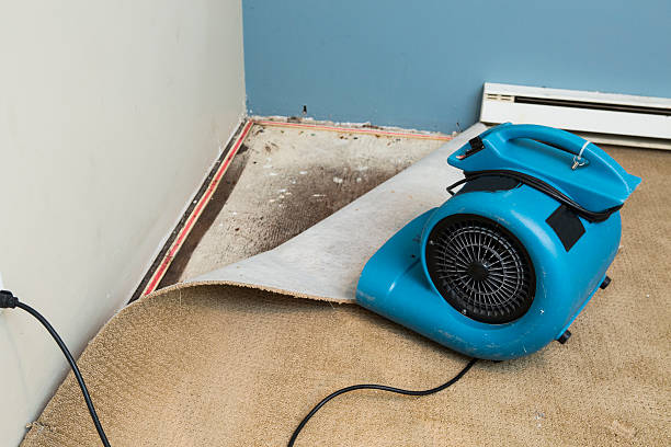 Best Water damage contractors near me  in Springdale, AR